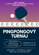 pingpong26